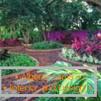 Flowers and plants in the garden