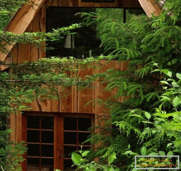 Small forest house (photo), США
