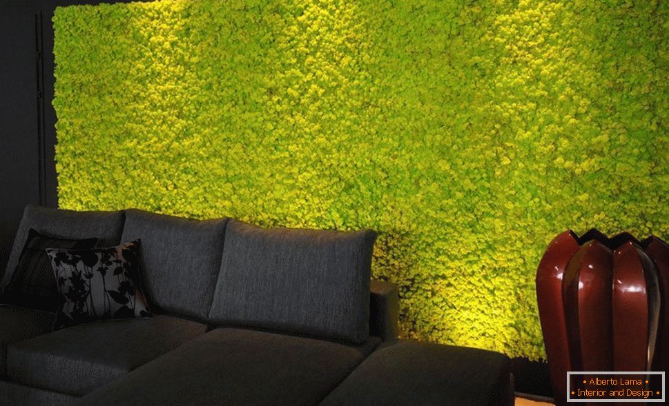 Wall panels from moss