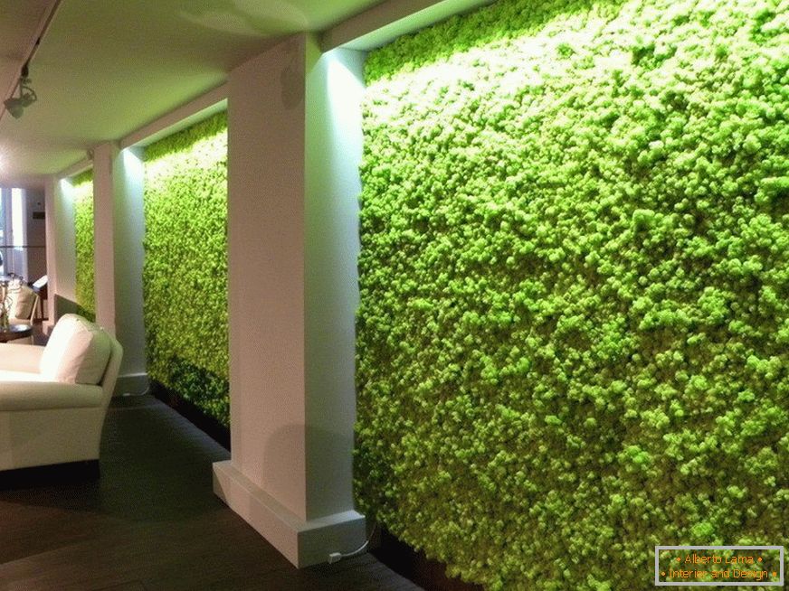 Moss on the walls between the columns