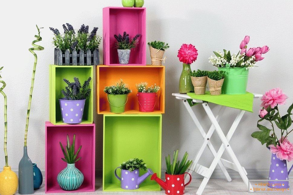 Vases for children with spicy plants