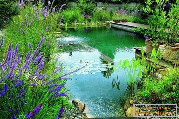 Beautiful photo of swimming pools - pond for swimming in the yard