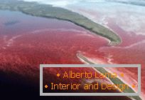 An unusual red lake in northern Canada