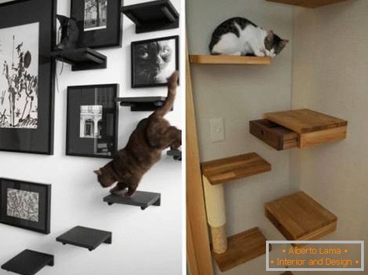 Wall shelves for a cat