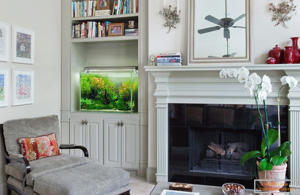 Aquarium in the living room with fireplace