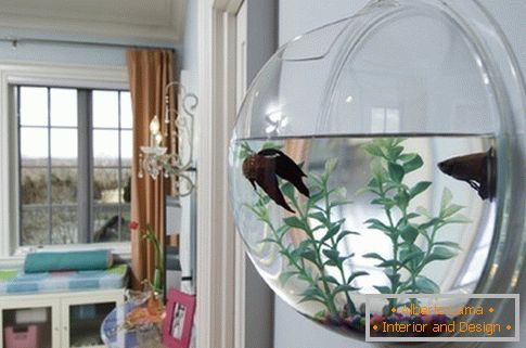 Round wall aquarium