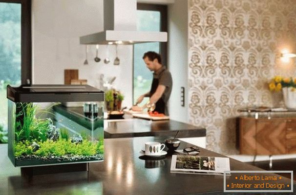 Cubic Aquarium in the Kitchen