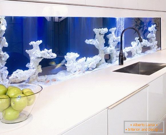 An aquarium with corals in the kitchen