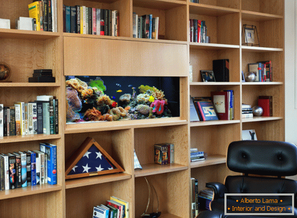 Aquarium in a bookshelf