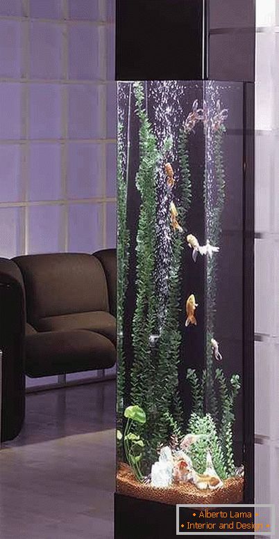 High aquarium in the living room