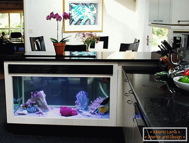 Aquarium under the bar