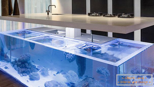 Aquarium under cooking surface