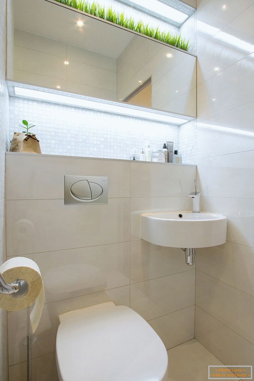 Interior of the lavatory in a spacious one-room apartment