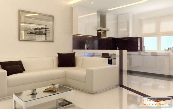 Studio apartment in the style of minimalism is spacious and bright. Superfluous decorative elements of the interior do not overload the interior.