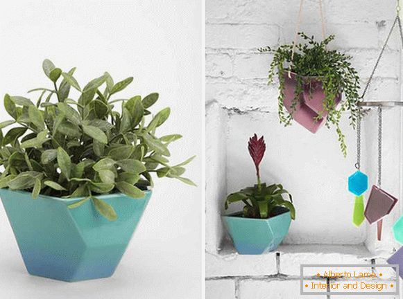 Plants in geometric pots
