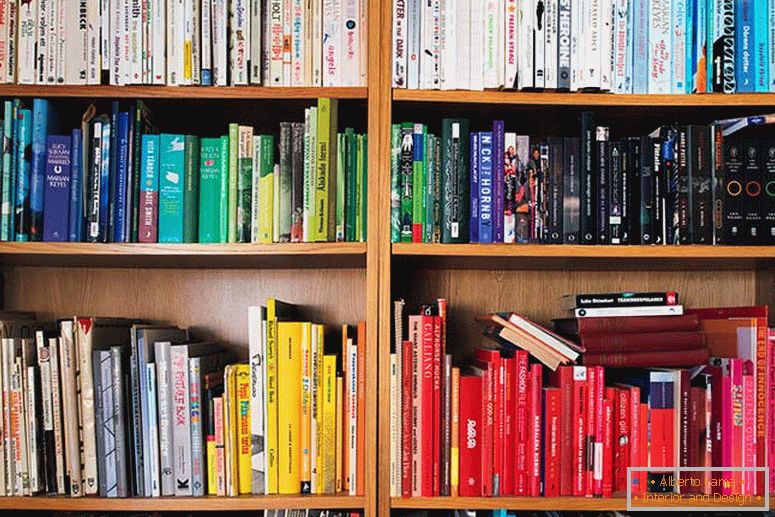 Book shelves of a small one-bedroom apartment