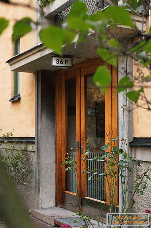 Entrance doors to the house