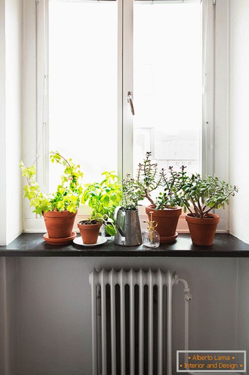 Kitchen of a small two-room apartment