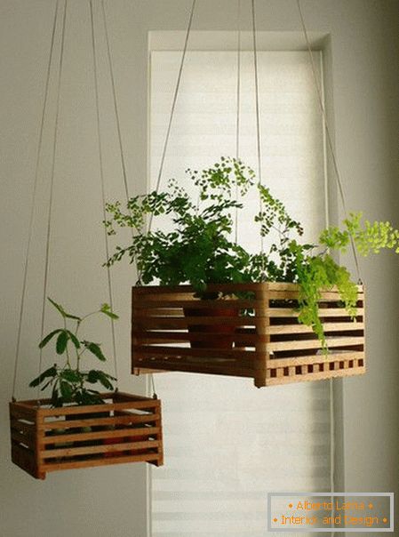 Plants on hanging shelves