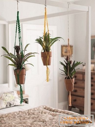 Plants in pendant pots