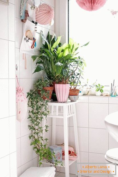 Plants in the corner of the bathroom