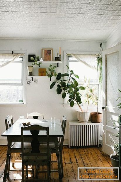 Plants in the interior of a dining room