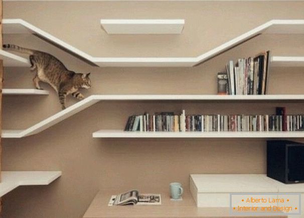 Labyrinth for a cat from wall shelves