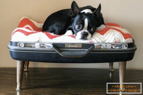 Place for a dog from a suitcase