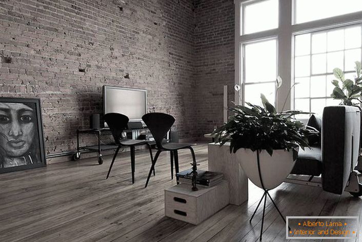 Laminate dark gray in the living room looks perfect. For interior decoration in the loft style, you can use unusual pictures.
