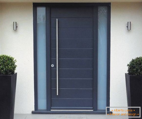 Dark blue steel entrance doors