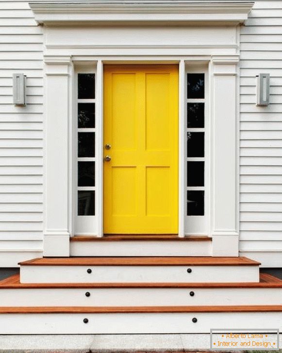 Bright entrance door to a modern house