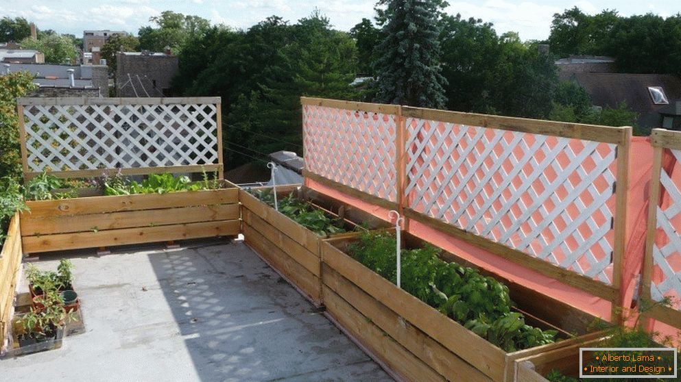 Narrow vegetable beds