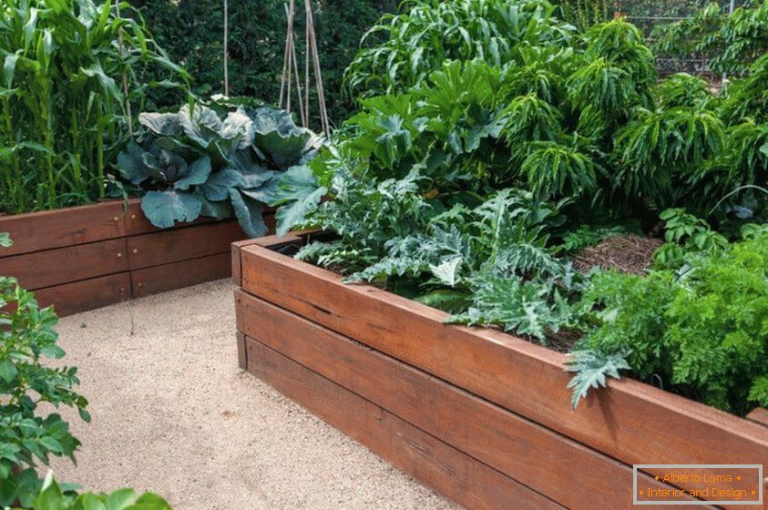 Wooden containers for the garden