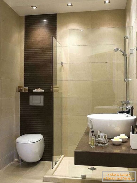 Glass fences and shower doors on the photos of bathrooms