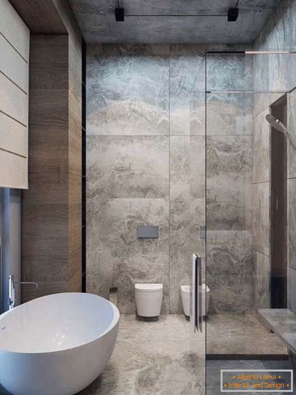 Modern ideas for the shower in the bathroom