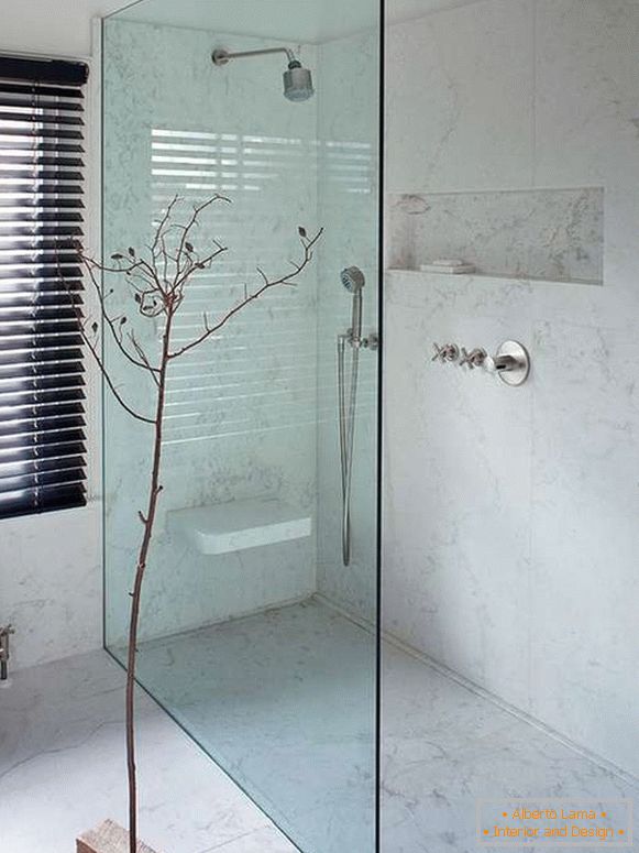 Simple fencing - a glass door in the shower