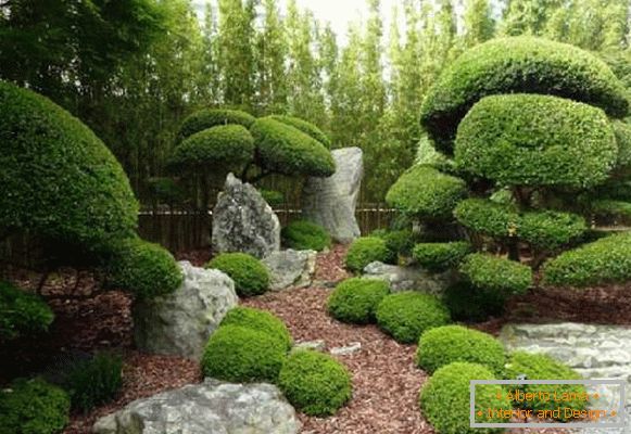 landscape design in Japanese style photo, photo 30