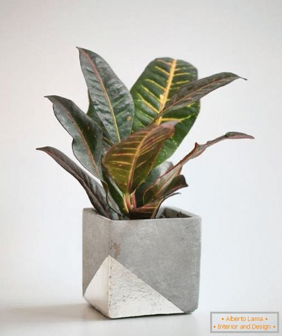 Pot for a houseplant with your own hands