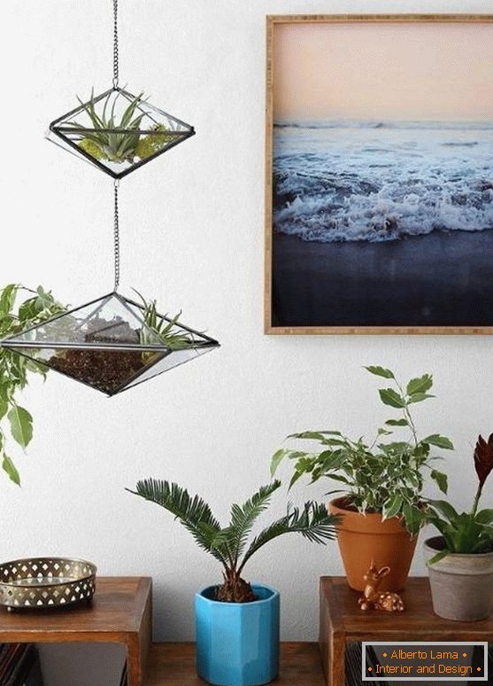 Pendant decoration - glass pots with plants