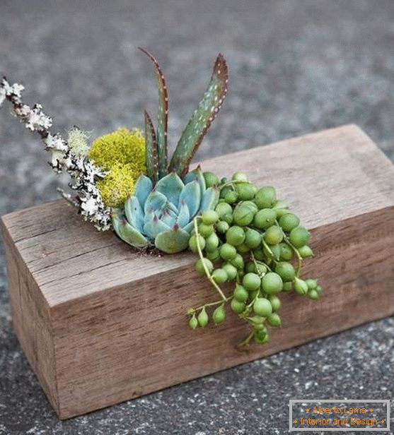 A wooden piece with plants