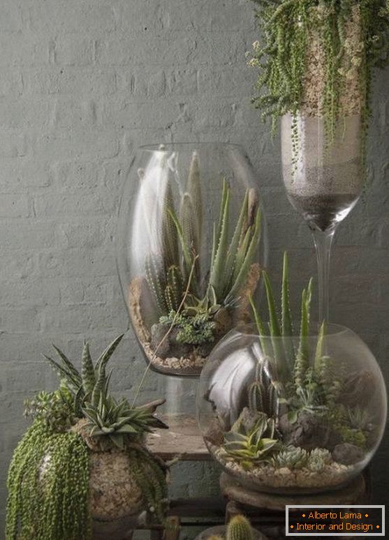 Plants in large glass vases
