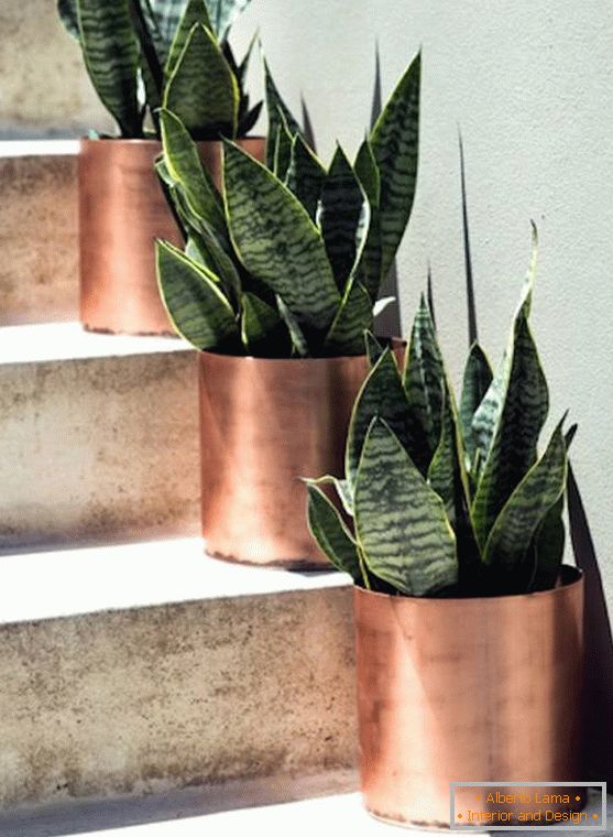 Decoration of stairs by plants