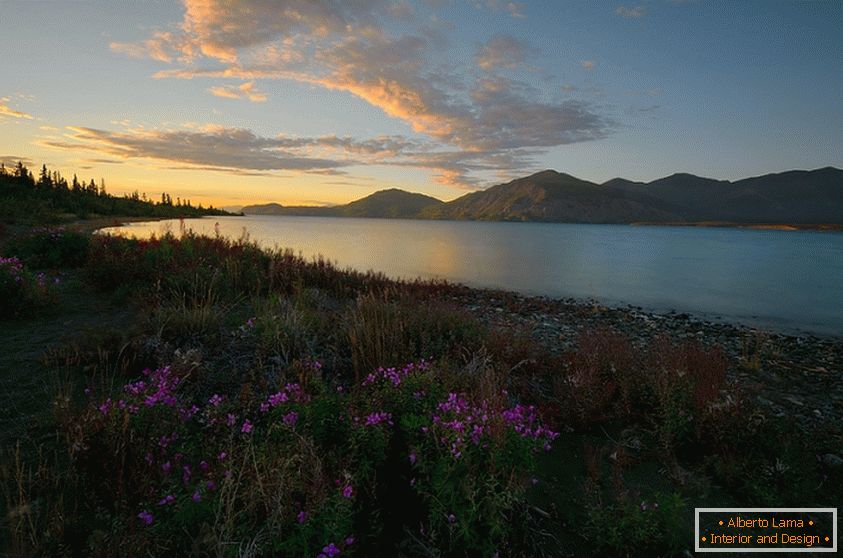 Delightful photos of Canada's nature, Keith Williams