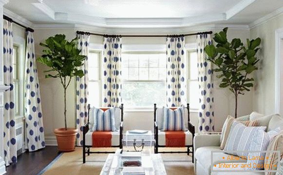 White curtains with a blue pattern in the living room