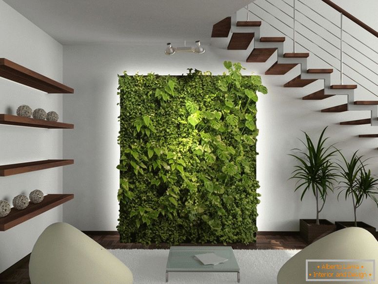 Vertical plantations in your home