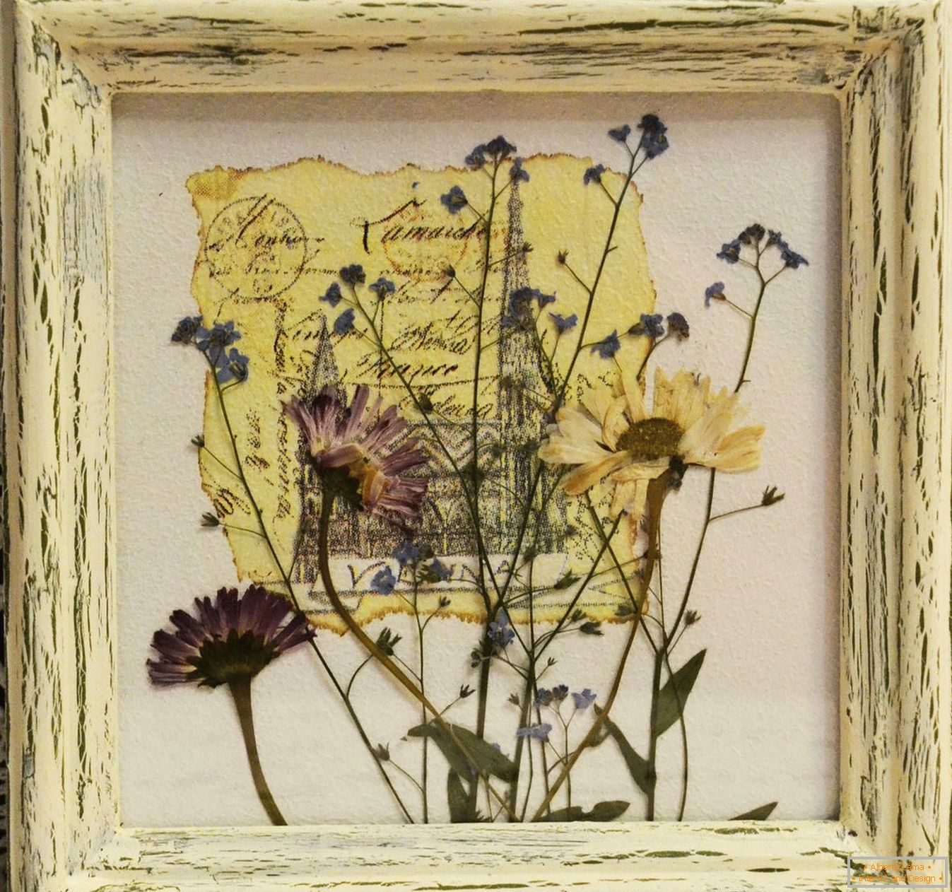 Dried plants in a frame