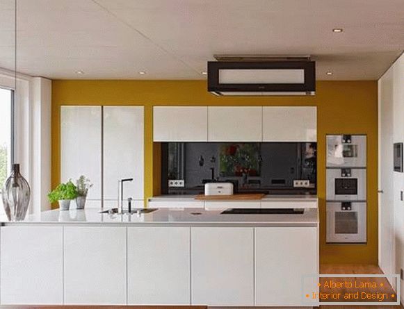 fashionable-color-gamma-for-kitchen-2015
