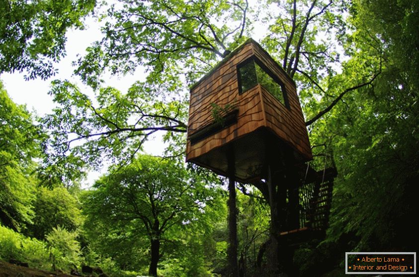 Treehouse by Takashi Kobayashi (Япония)