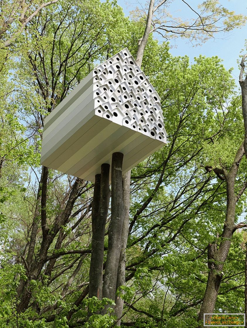 Treehouse for Birds and People (Япония)