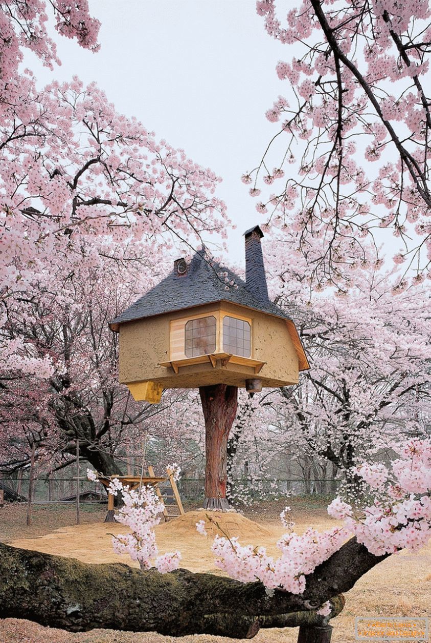 Teahouse Tetsu (Yamanashi, Japan)